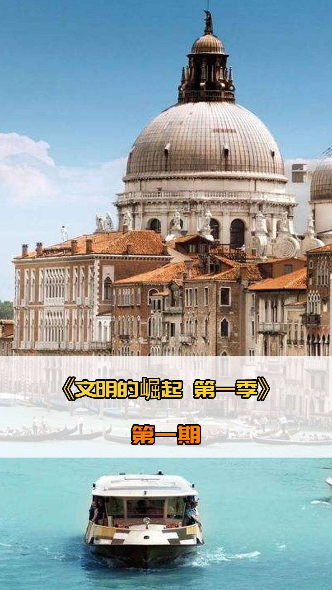 析他们识
